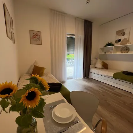 Gemuetliche 1 Apartment Wiesbaden